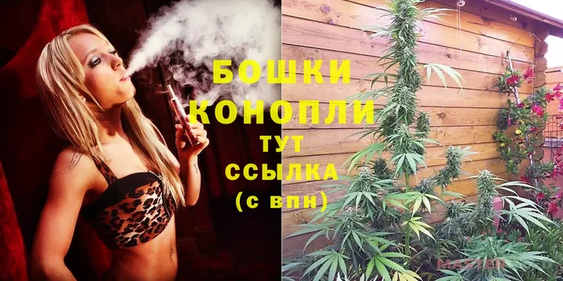 купить   Мамадыш  Шишки марихуана White Widow 